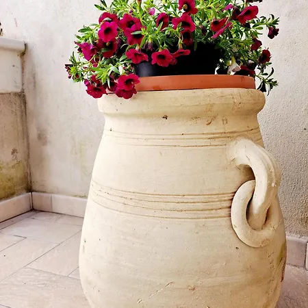 Anninnia - Ghiiarza * Ghilarza